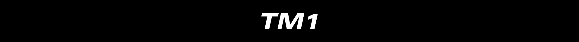  TM1 EV